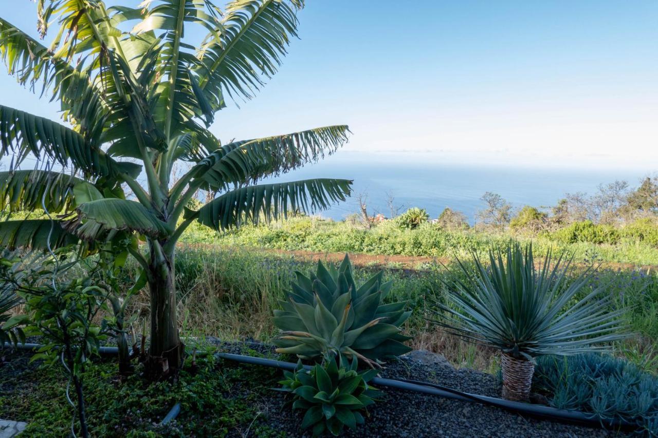 Hrlos Piratas - Ferien Haus La Palma - Good Wlan !! Tijarafe Extérieur photo