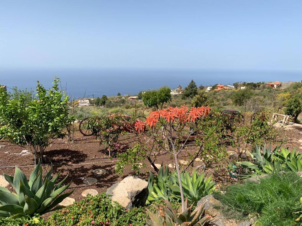 Hrlos Piratas - Ferien Haus La Palma - Good Wlan !! Tijarafe Extérieur photo