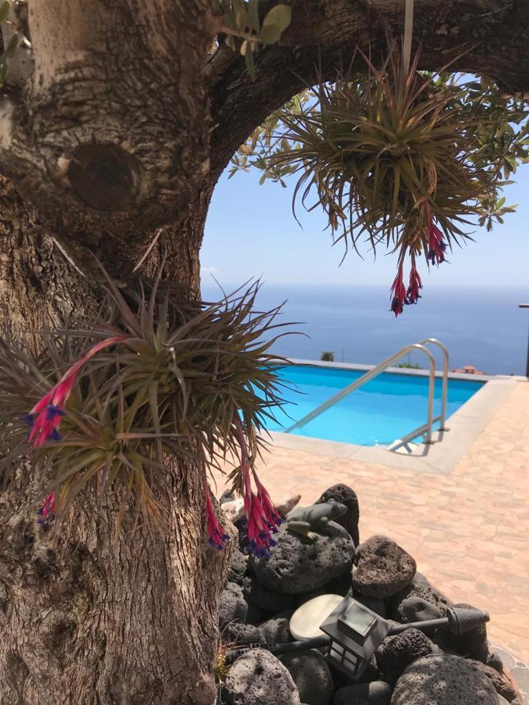 Hrlos Piratas - Ferien Haus La Palma - Good Wlan !! Tijarafe Extérieur photo
